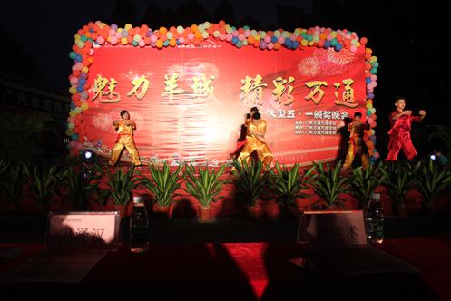 武術表演
